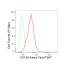 KD-Validated GCLM Rabbit mAb (20 μl)