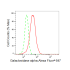 KD-Validated GLA Rabbit mAb (20 μl)