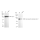 KD-Validated GORASP1 Rabbit mAb (20 μl)