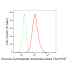 KD-Validated GPI Rabbit mAb (20 μl)