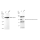 KD-Validated GPI Rabbit mAb (20 μl)