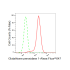 KD-Validated GPX1 Rabbit mAb (20 μl)