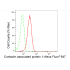 KD-Validated CNTNAP1 Rabbit mAb (20 μl)