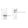 KD-Validated CNTNAP1 Rabbit mAb (20 μl)