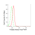 KD-Validated TCEB2 Rabbit mAb (20 μl)