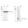 KD-Validated TCEB2 Rabbit mAb (20 μl)