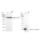 KD-Validated B2M Rabbit mAb (20 μl)