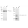 KD-Validated CTSL Rabbit mAb (20 μl)