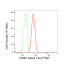 KD-Validated CD82 Rabbit mAb (20 μl)