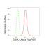 KD-Validated ELAVL1 Rabbit mAb (20 μl)
