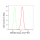 KD-Validated GEMIN2 Rabbit mAb (20 μl)