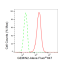 KD-Validated GEMIN2 Rabbit mAb (20 μl)