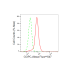 KD-Validated GOPC Rabbit mAb (20 μl)