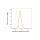 KD-Validated IPO9 Rabbit mAb (20 μl)