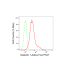 KD-Validated LGALS1 Rabbit mAb (20 μl)