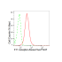 KD-Validated F11R Rabbit mAb (20 μl)
