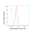 KD-Validated Hsp105 Rabbit mAb (20 μl)