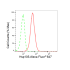 KD-Validated Hsp105 Rabbit mAb (20 μl)