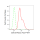 KD-Validated CDC42 Rabbit mAb (20 μl)