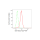 KD-Validated IDE Rabbit mAb (20 μl)