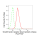KD-Validated GRB2 Rabbit mAb (20 μl)