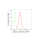 KD-Validated Galectin 1 Rabbit mAb (20 μl)