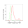 KD-Validated KHSRP Rabbit mAb (20 μl)