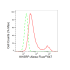 KD-Validated KHSRP Rabbit mAb (20 μl)