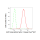 KD-Validated E2F1 Rabbit mAb (20 μl)