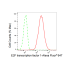 KD-Validated E2F1 Rabbit mAb (20 μl)