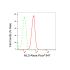 KD-Validated MLD Rabbit mAb (20 μl)