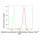 KD-Validated GOT2 Rabbit mAb (20 μl)