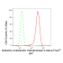 KD-Validated GOT2 Rabbit mAb (20 μl)