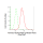 KD-Validated FDPS Rabbit mAb (20 μl)