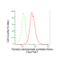 KD-Validated FDPS Rabbit mAb (20 μl)