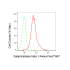 KD-Validated GLB1 Rabbit mAb (20 μl)