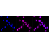 KD-Validated GLB1 Rabbit mAb (20 μl)