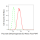 KD-Validated PDCE2 Rabbit mAb (20 μl)