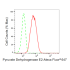 KD-Validated PDCE2 Rabbit mAb (20 μl)