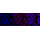 KD-Validated PDCE2 Rabbit mAb (20 μl)
