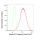 KD-Validated DNAJC12 Rabbit mAb (20 μl)