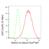 KD-Validated DNAJC12 Rabbit mAb (20 μl)
