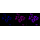 KD-Validated ENGL Rabbit mAb (20 μl)