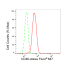 KD-Validated CD46 Rabbit mAb (20 μl)