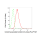 KD-Validated GAP43 Rabbit mAb (20 μl)