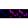 KD-Validated GAP43 Rabbit mAb (20 μl)