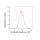 KD-Validated NF-kB p65 Rabbit mAb (20 μl)