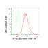 KD-Validated NF-kB p65 Rabbit mAb (20 μl)