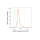 KD-Validated HDAC3 Rabbit mAb (20 μl)