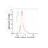 KD-Validated HDAC3 Rabbit mAb (20 μl)